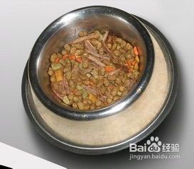 自制狗粮的做法大全家常