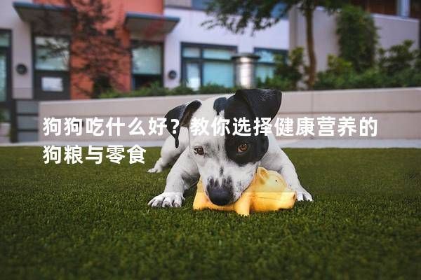 狗狗吃什么好？教你选择健康营养的狗粮与零食