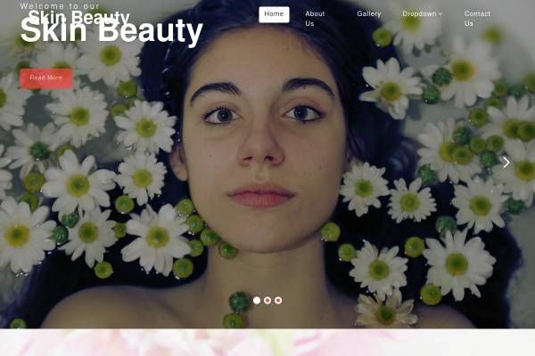 精美的html美容spa类响应式网站模板