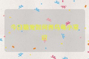 今日萌宠如何养乌龟小常识