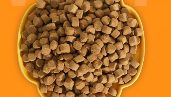 它福狗狗主食冻干：小型犬幼犬的健康美味新宠