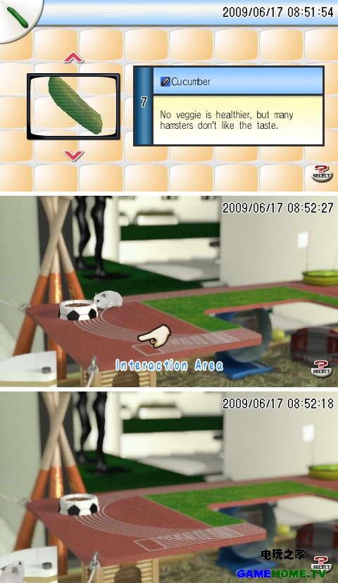 PSP《宠物 仓鼠群》美版破解版下载下载-电玩之家