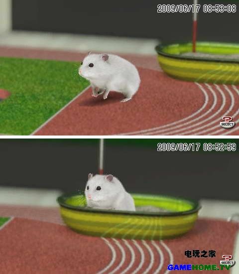 PSP《宠物 仓鼠群》美版破解版下载下载-电玩之家