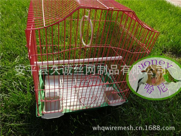bird cage 鸟笼 (12)