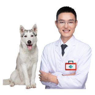 狗猫生病选杰羚医生不满意可退款