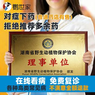 专业鸟宠兽医在线问诊