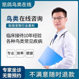 鹦鹉各种鸟类专业在线咨询治疗