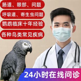 鹦鹉问诊兽医医生专业鹦鹉问诊