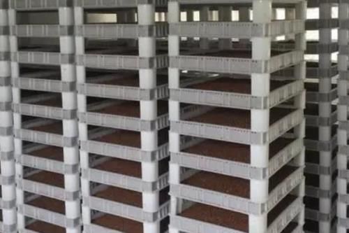 甲鱼的繁殖技术介绍，砂质湿度决定孵化率