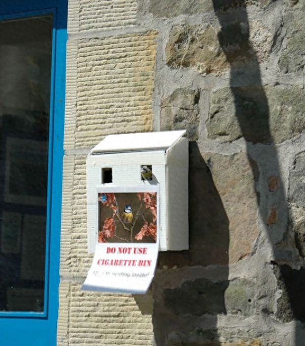 在鸟妈妈眼里，任何地方都能搭建鸟窝，大写的服气！