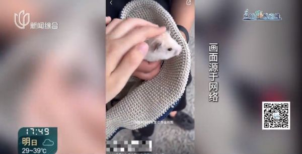 上海一地铁站本月发现多例！千万别偷偷这么干 此前已有人被行拘