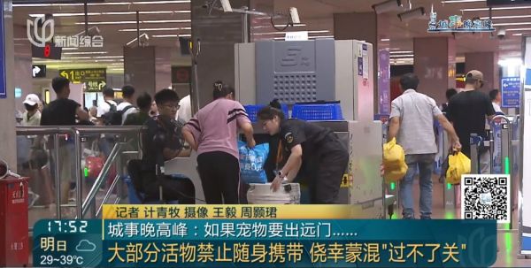 上海一地铁站本月发现多例！千万别偷偷这么干 此前已有人被行拘