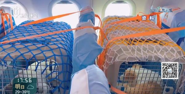 上海一地铁站本月发现多例！千万别偷偷这么干 此前已有人被行拘