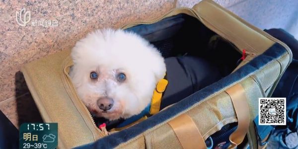 上海一地铁站本月发现多例！千万别偷偷这么干 此前已有人被行拘