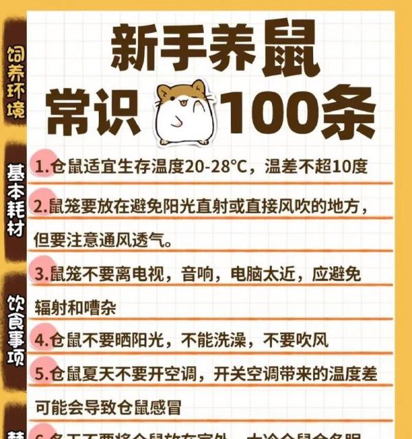 购买街上仓鼠时应注意什么？如何辨别仓鼠健康？