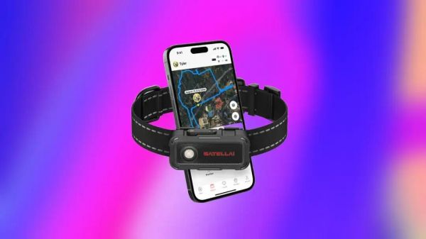 养宠经济爆发！“懂”狗狗的AI项圈三个月吸金百万美元