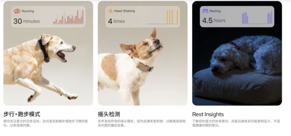 养宠经济爆发！“懂”狗狗的AI项圈三个月吸金百万美元