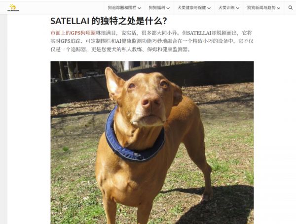 养宠经济爆发！“懂”狗狗的AI项圈三个月吸金百万美元