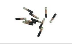 羊进口植入式玻璃管