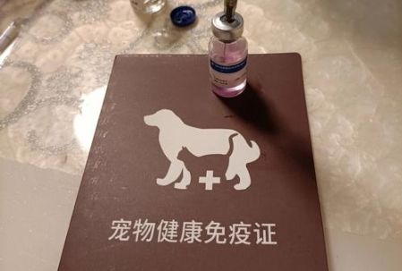 国内宠物药的“创新爆发年”，后期将持续3-5年