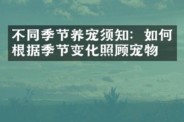 不同季节养宠须知：如何根据季节变化照顾宠物？