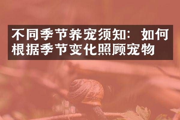 不同季节养宠须知：如何根据季节变化照顾宠物？
