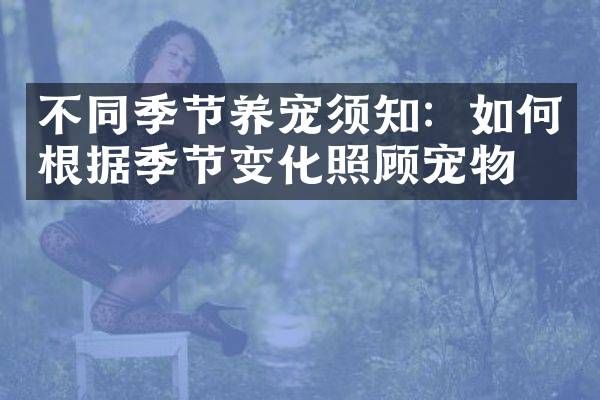 不同季节养宠须知：如何根据季节变化照顾宠物？