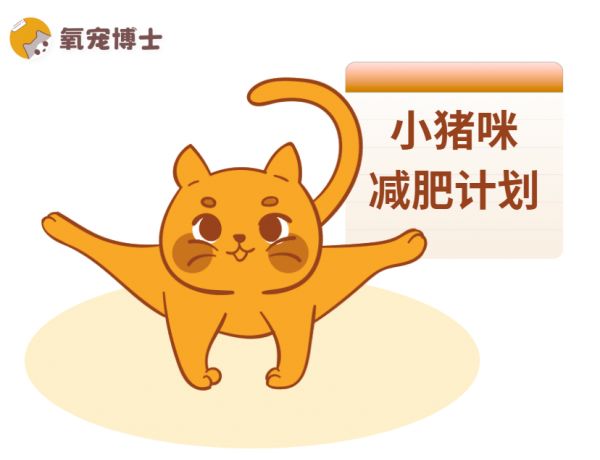猫咪减肥计划书