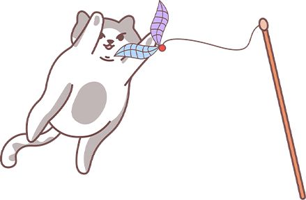 怎么给猫咪减肥？