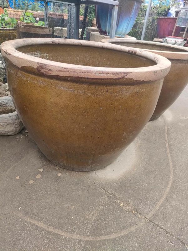 大水缸古法养鱼_生态共生，自然净化，简单易行