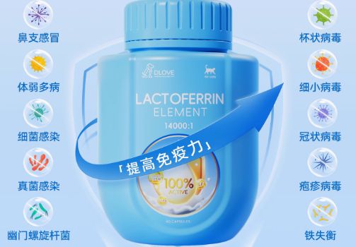 DLOVE乳铁蛋白:宠物免疫力的天然增强剂
