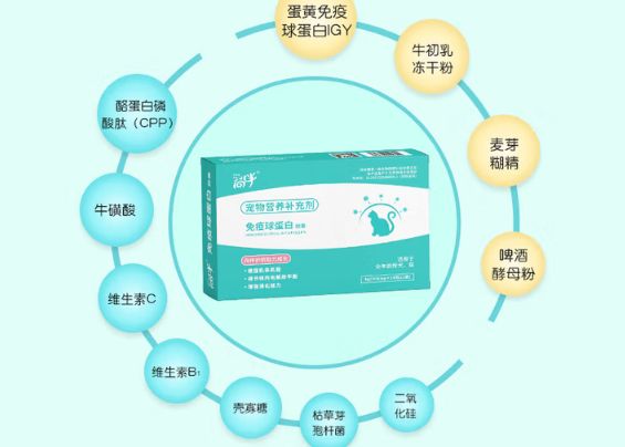 向伴宠物免疫球蛋白胶囊:增强宠物免疫力
