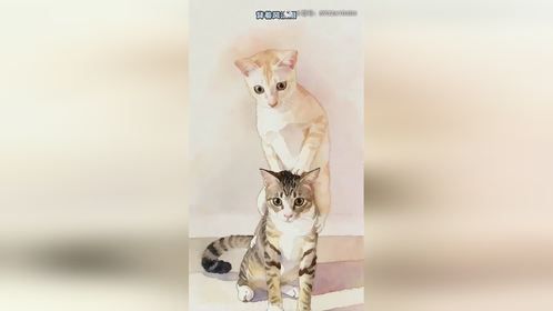 猫咪被壁虎吓到起飞