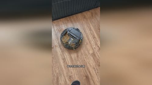 养狗的就别用扫地机器人
