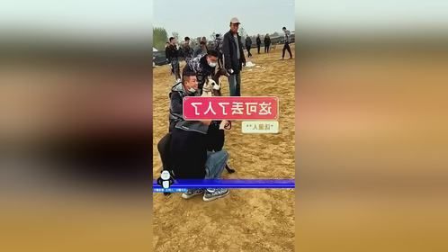 它就不是来赛跑的