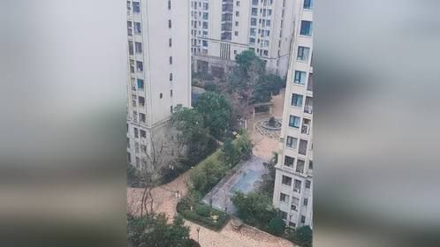 今天是大寒，杭州下了今年的第一场雪