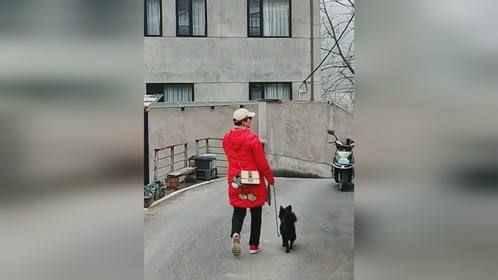 生日那天我们夫妻俩带着狗狗去德清后坞村逛逛！