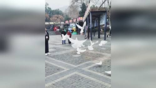 生日去莫干山庚村广场游玩