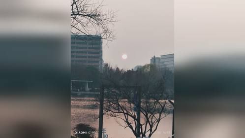 在丰收获公园看落日