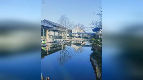 新市古镇边的假日酒店，不是宠物友好酒店。