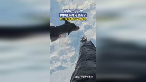 带狗狗出门玩雪，狗狗直接掉河里面了，男子直接就下去救狗狗