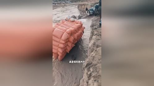 货车陷泥河，司机这大胆举动太惊人！