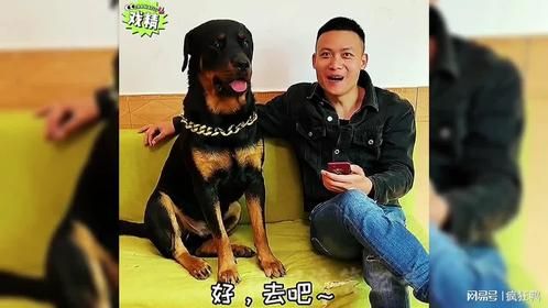 母老虎上夜班一坨帮大哥会情人，结果被抓，倒霉的还是一坨