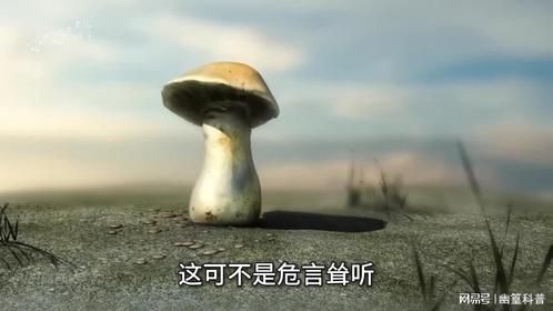 肥胖过度背后隐藏的真相！那么如何让脂肪消失