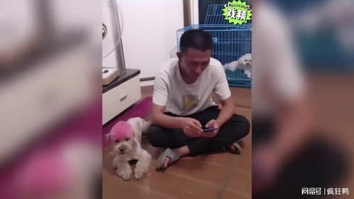 球球还是对自己的女儿好