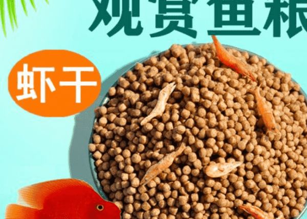 中国十大观赏鱼粮品牌