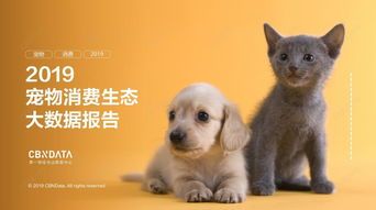 淄博宠物:如何给宠物选择最适合的食品?宠物食品选购指南