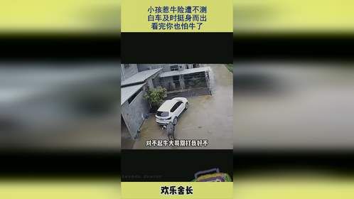 小孩惹牛险遭不测，白车及时挺身而出，看完你也怕牛了