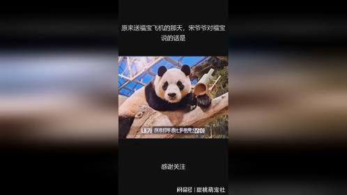 原来送福宝飞机的那天，宋爷爷对福宝说的话是