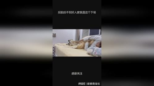 投胎投不到好人家就是这个下场